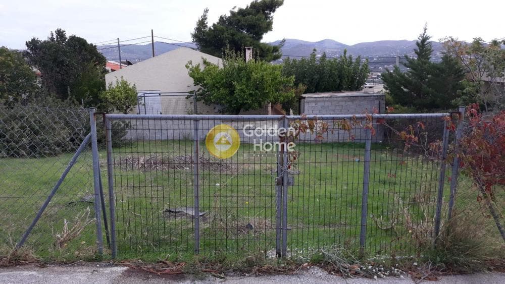 Αγροτεμάχιο στην Άγιος Παντελεήμονας, Ανάβυσσος — Φωτογραφία 2 από 5