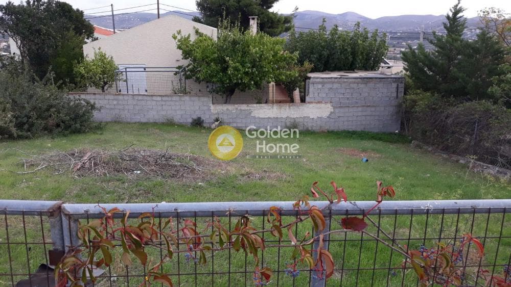 Αγροτεμάχιο στην Άγιος Παντελεήμονας, Ανάβυσσος — Φωτογραφία 3 από 5