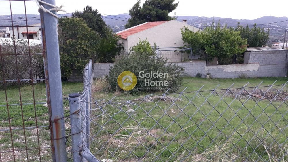 Αγροτεμάχιο στην Άγιος Παντελεήμονας, Ανάβυσσος — Φωτογραφία 5 από 5
