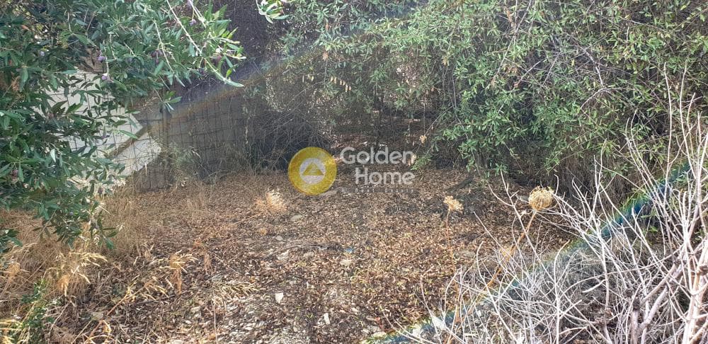 Οικόπεδο στην Καπετανάκι Μετόχι, Γάζι — Φωτογραφία 3 από 6