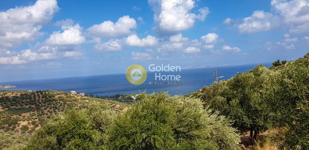 Οικόπεδο στην Καπετανάκι Μετόχι, Γάζι — Φωτογραφία 4 από 6