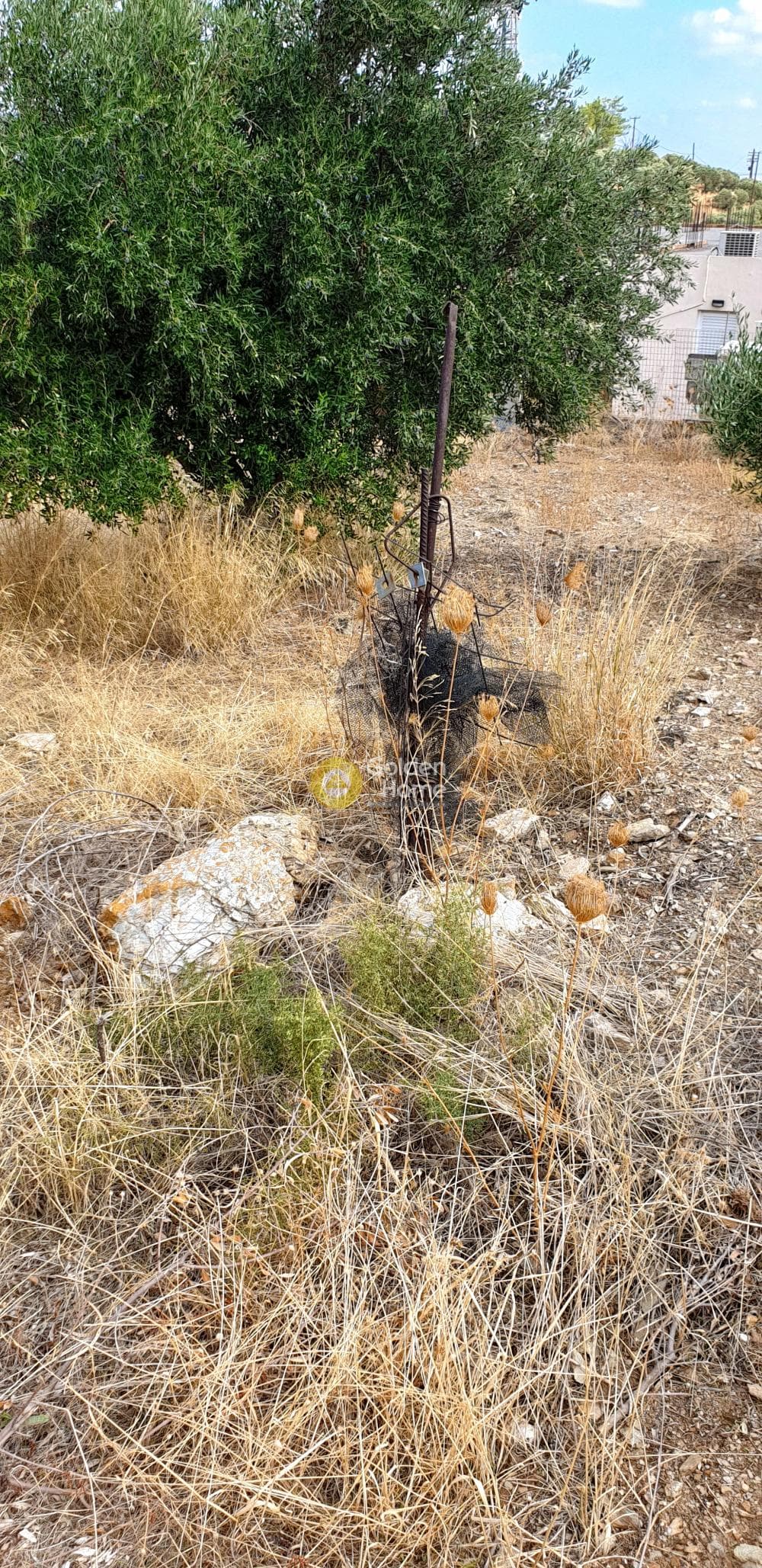 Οικόπεδο στην Καπετανάκι Μετόχι, Γάζι — Φωτογραφία 5 από 6