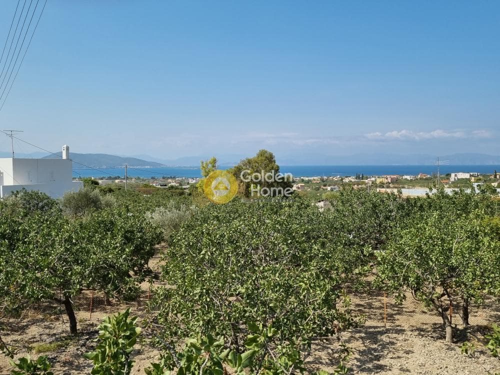 Οικόπεδο στην Παγώνι, Αίγινα — Φωτογραφία 1 από 3
