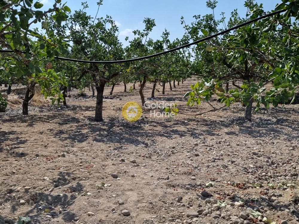 Οικόπεδο στην Παγώνι, Αίγινα — Φωτογραφία 2 από 3
