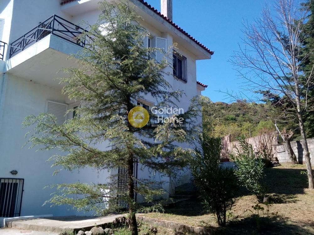 House in Mikrochori, Com. Kapandriti — Photo 18 of 23