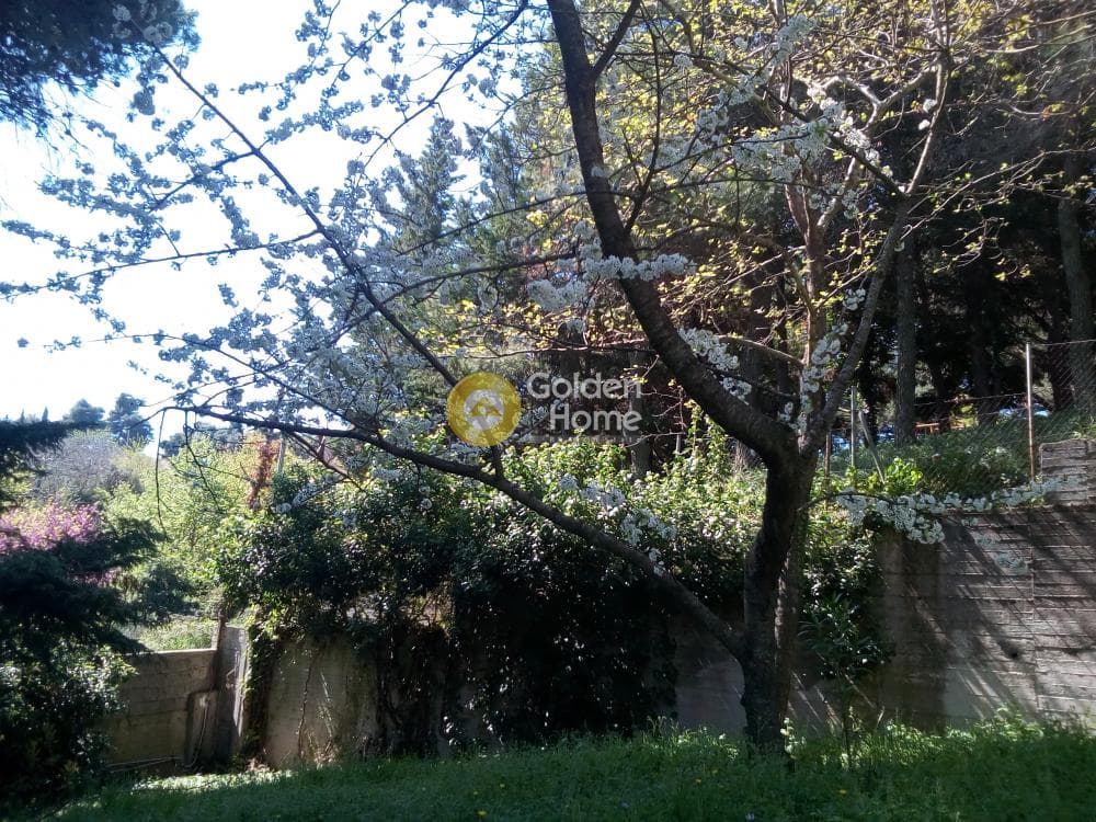 House in Mikrochori, Com. Kapandriti — Photo 21 of 23