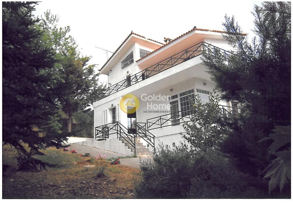 House in Mikrochori, Com. Kapandriti — Photo 23 of 23