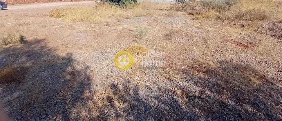 Parcel in Kartsinianos, Mallia — Photo 7 of 8