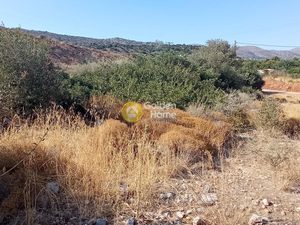 Parcel in Kartsinianos, Mallia — Photo 5 of 8