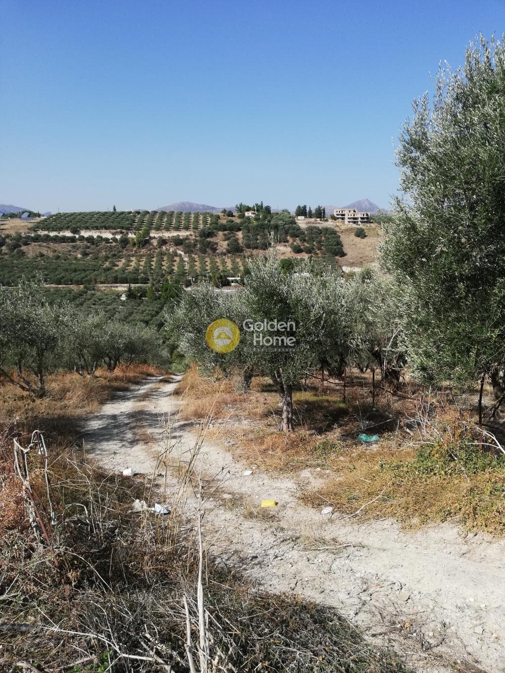 Building Plot in Athanatoi, Temenos — Photo 4 of 11