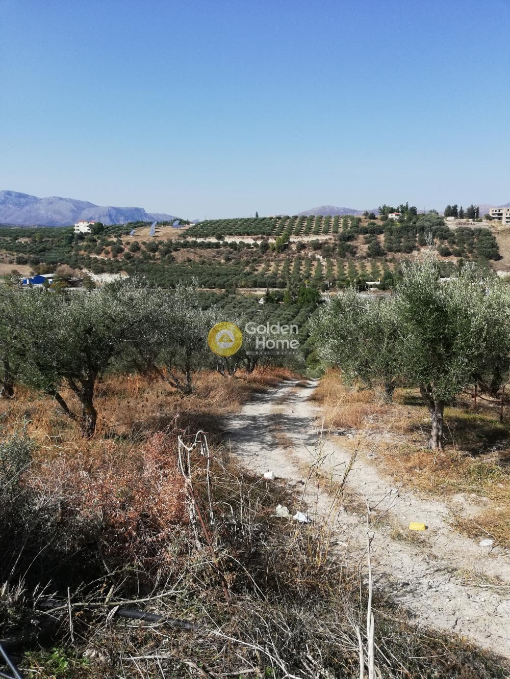 Building Plot in Athanatoi, Temenos — Photo 3 of 11