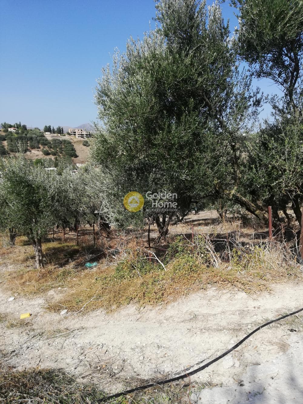 Building Plot in Athanatoi, Temenos — Photo 6 of 11