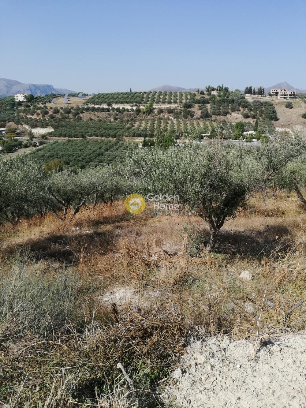 Building Plot in Athanatoi, Temenos — Photo 8 of 11