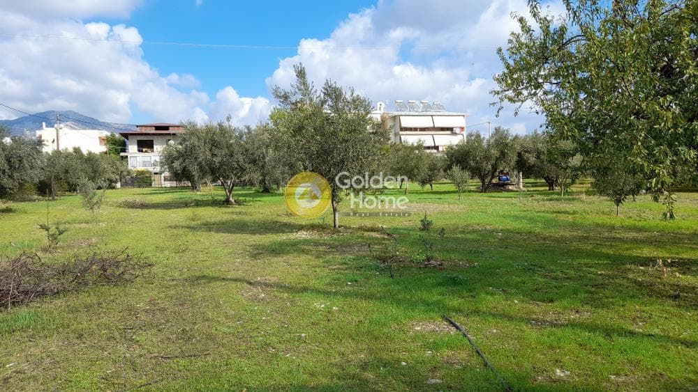 Μονοκατοικία στην Μεγάλα Σχοινία Α, Αχαρνές — Φωτογραφία 3 από 16