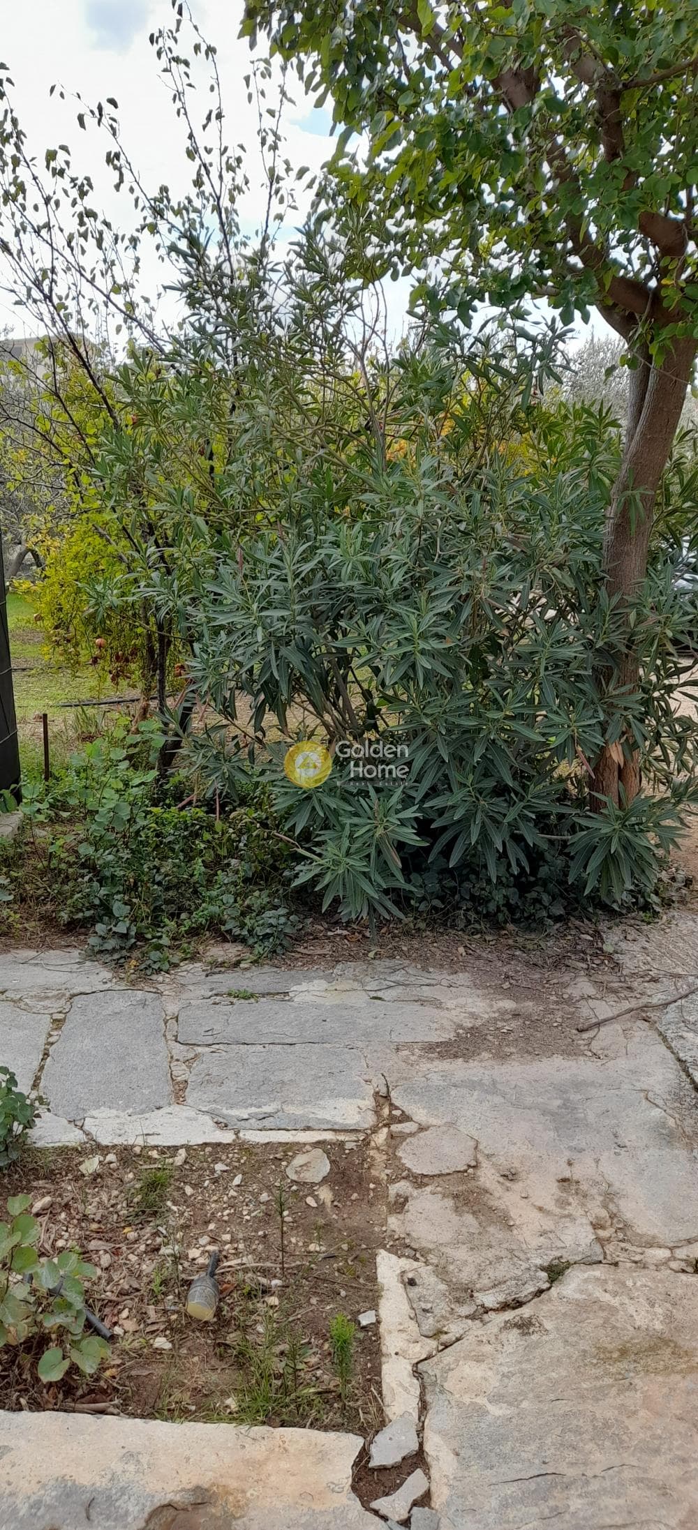 Μονοκατοικία στην Μεγάλα Σχοινία Α, Αχαρνές — Φωτογραφία 6 από 16