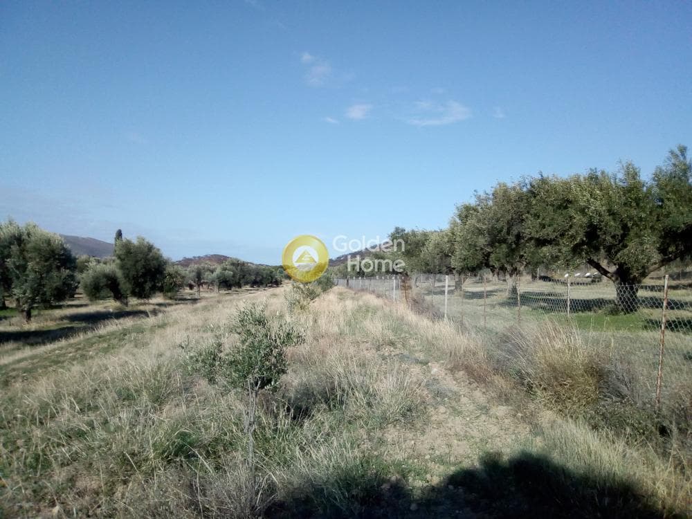 Οικόπεδο στην Καλύβια, Καλύβια Θορικού — Φωτογραφία 2 από 3