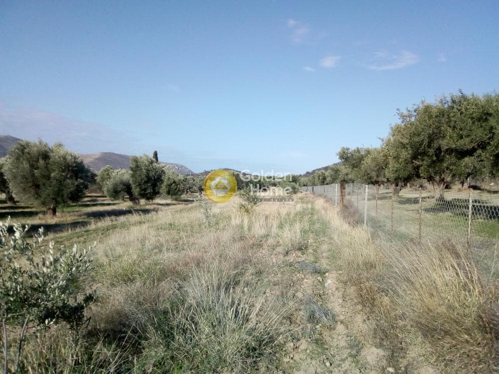 Οικόπεδο στην Καλύβια, Καλύβια Θορικού — Φωτογραφία 3 από 3