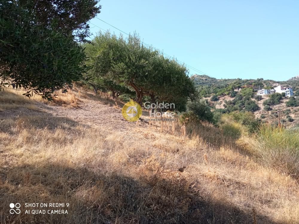 Building Plot in Rogdia, Gazi — Photo 5 of 9