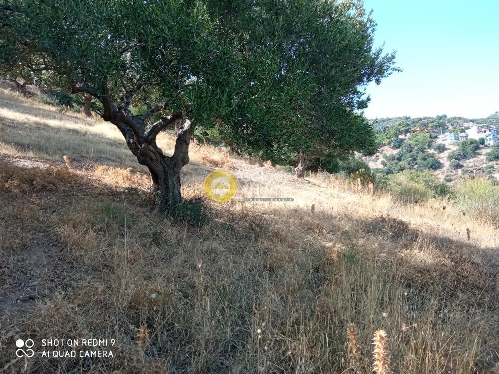 Building Plot in Rogdia, Gazi — Photo 6 of 9