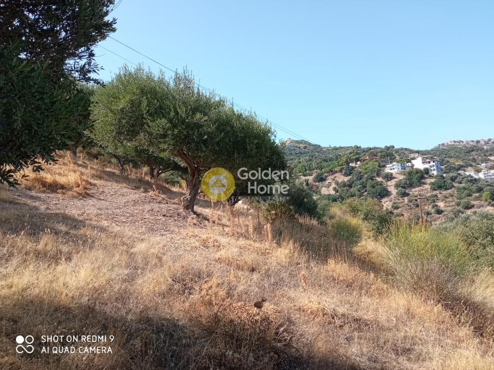 Building Plot in Rogdia, Gazi — Photo 7 of 9