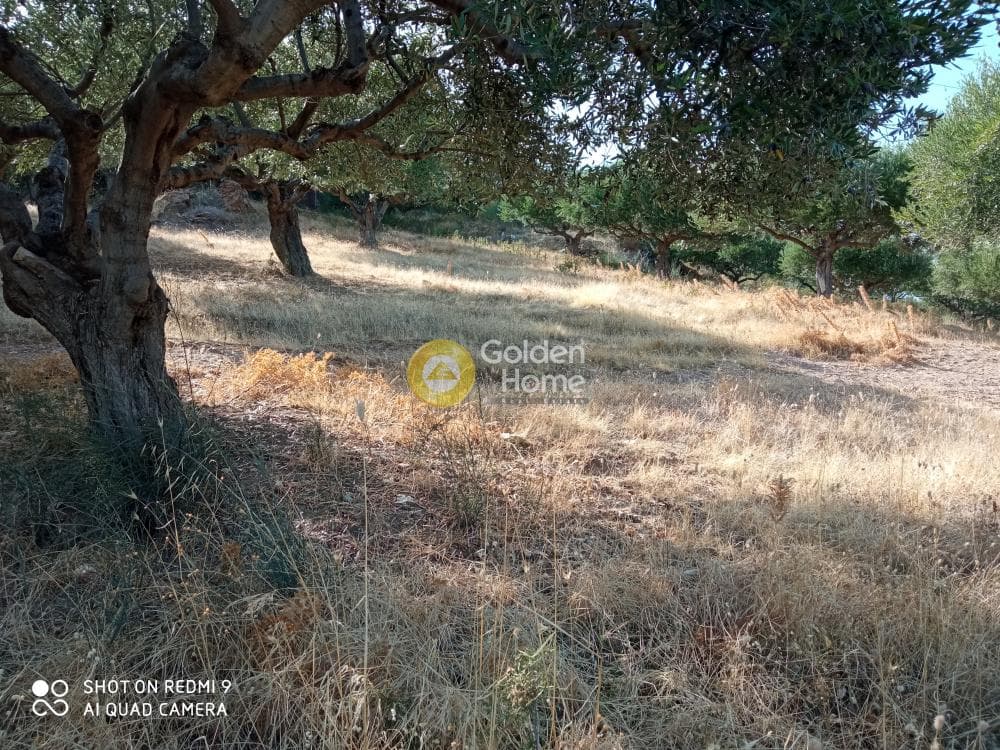 Building Plot in Rogdia, Gazi — Photo 9 of 9