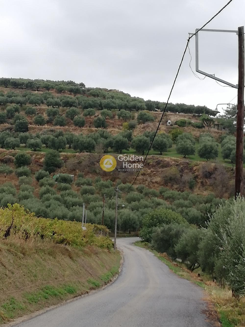 Οικόπεδο στην Φοινικιά, Τέμενος — Φωτογραφία 1 από 8