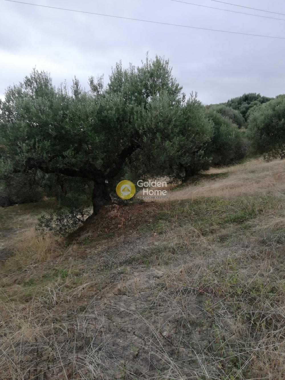 Parcel in Skalani, Episkopi — Photo 6 of 19