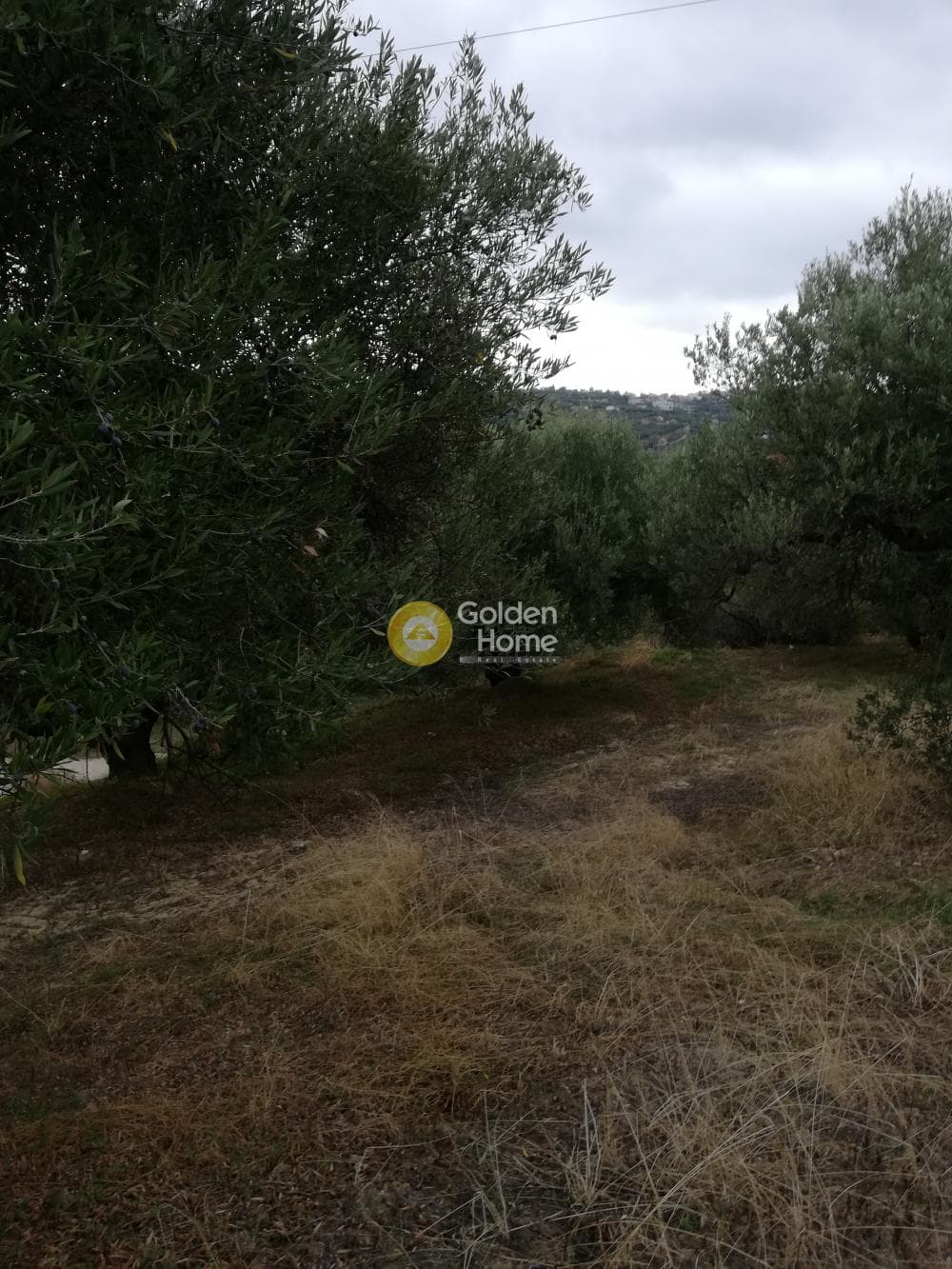 Parcel in Skalani, Episkopi — Photo 4 of 19