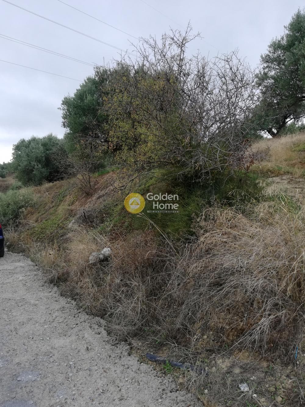 Parcel in Skalani, Episkopi — Photo 3 of 19