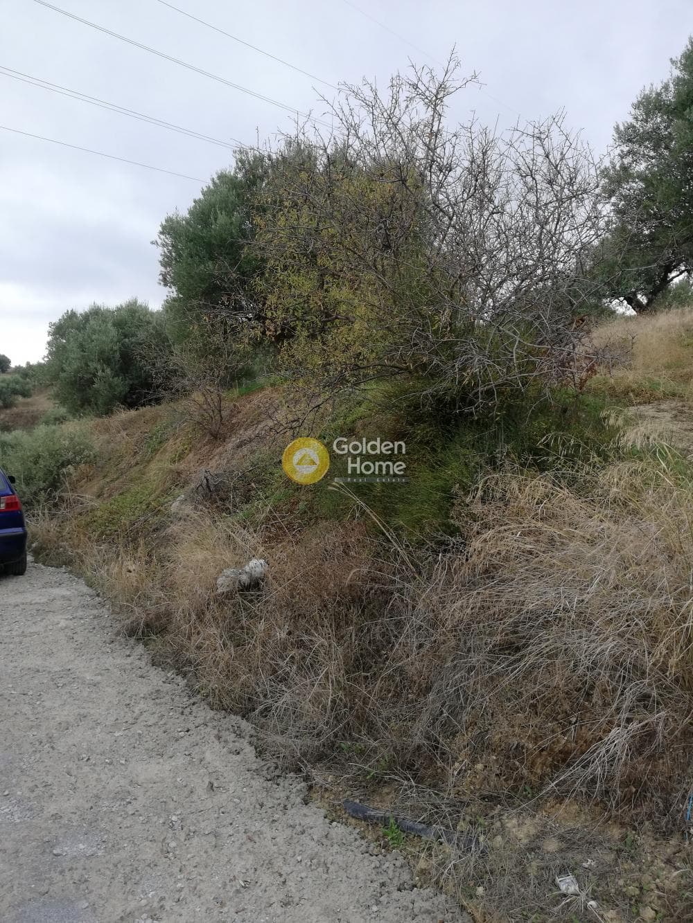 Parcel in Skalani, Episkopi — Photo 2 of 19
