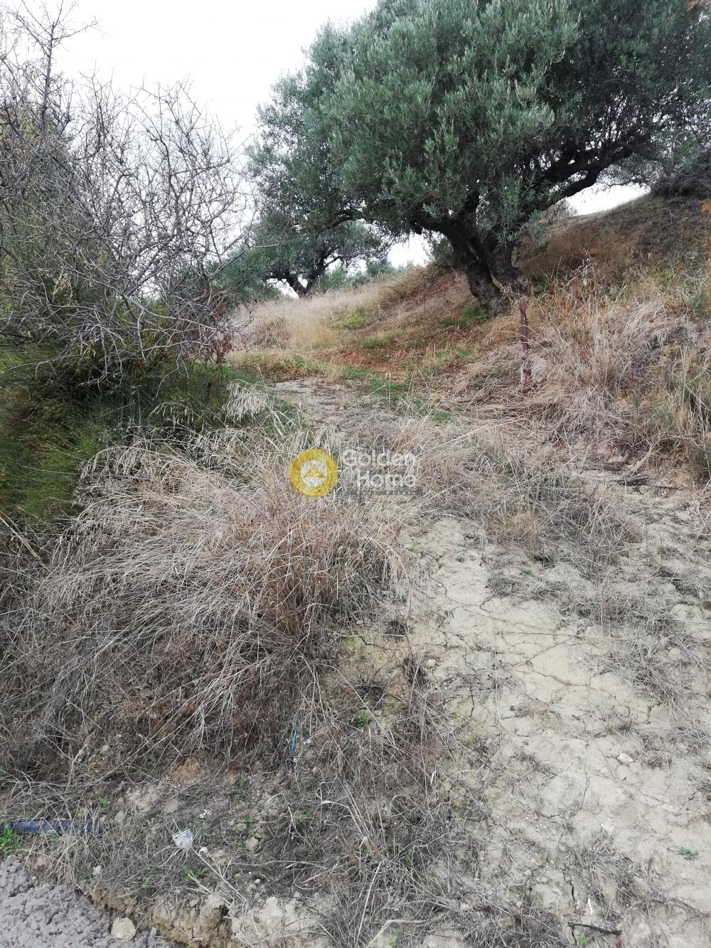 Parcel in Skalani, Episkopi — Photo 1 of 19