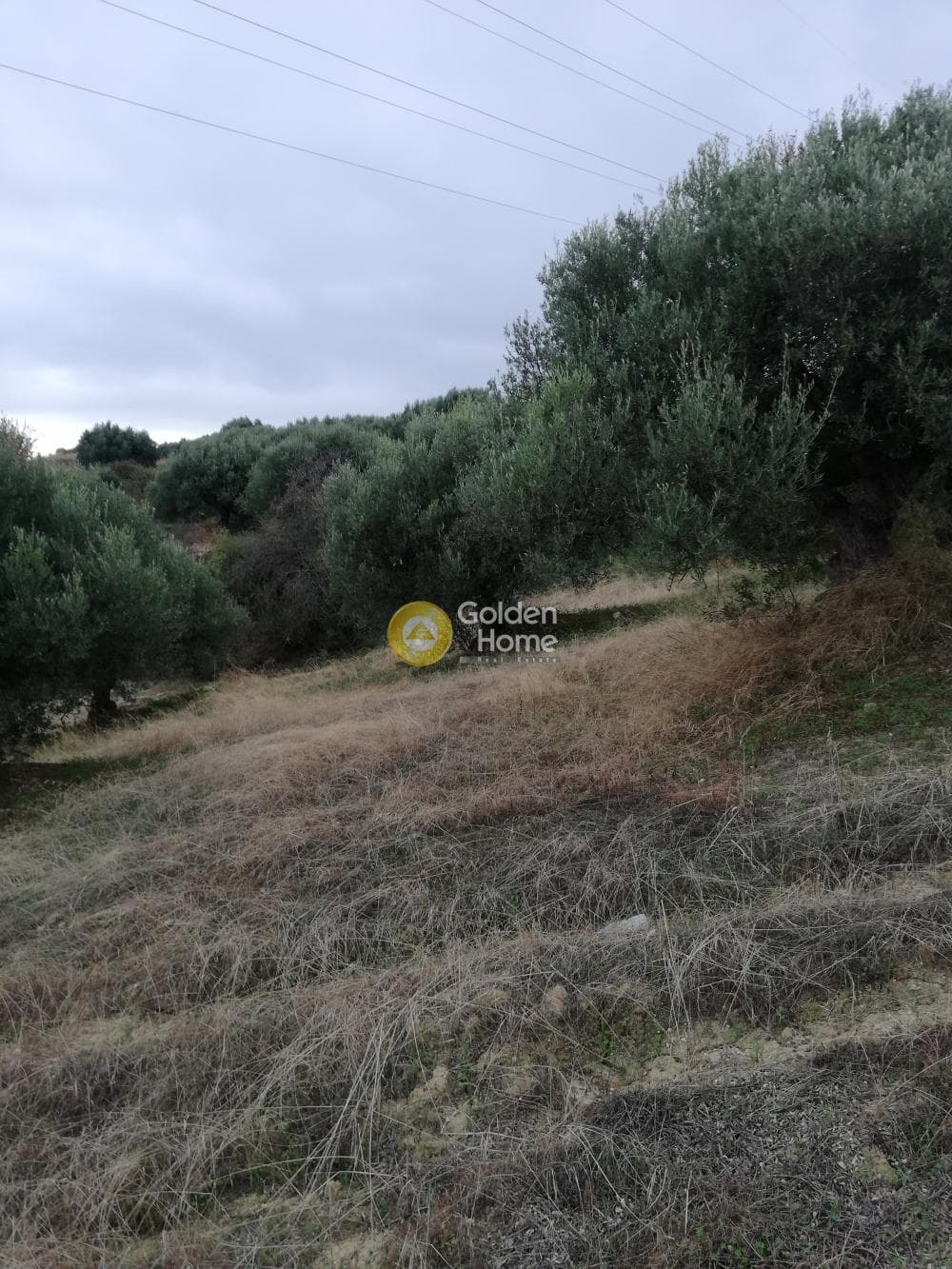 Parcel in Skalani, Episkopi — Photo 7 of 19
