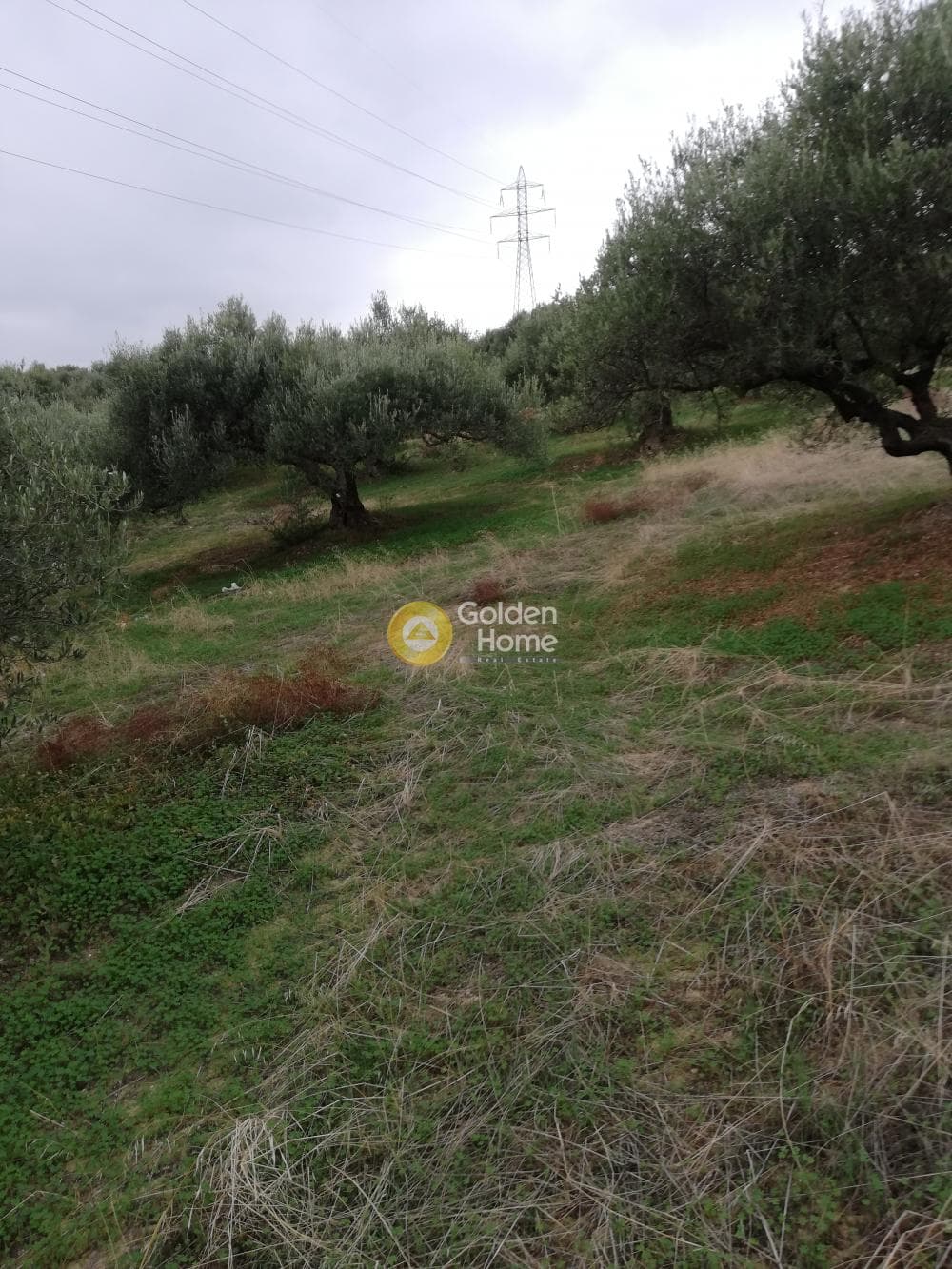 Parcel in Skalani, Episkopi — Photo 11 of 19