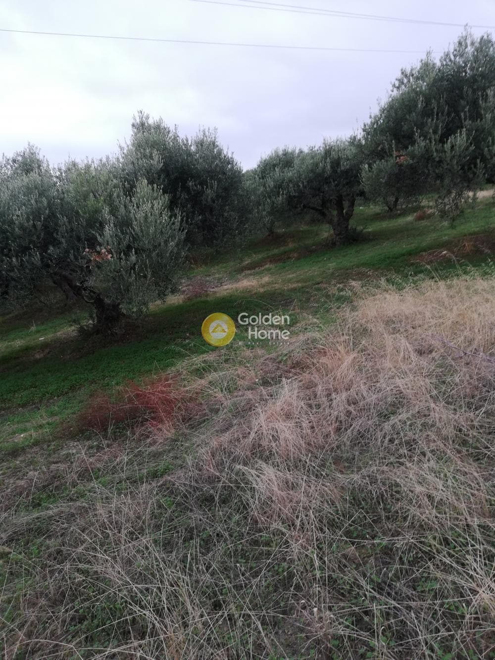 Parcel in Skalani, Episkopi — Photo 14 of 19