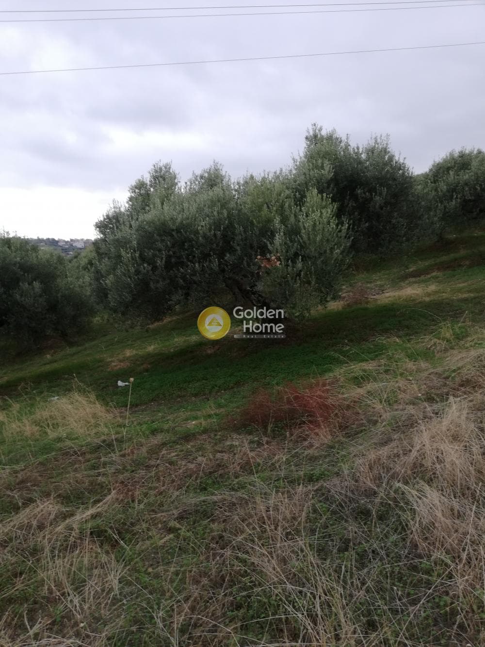 Parcel in Skalani, Episkopi — Photo 15 of 19