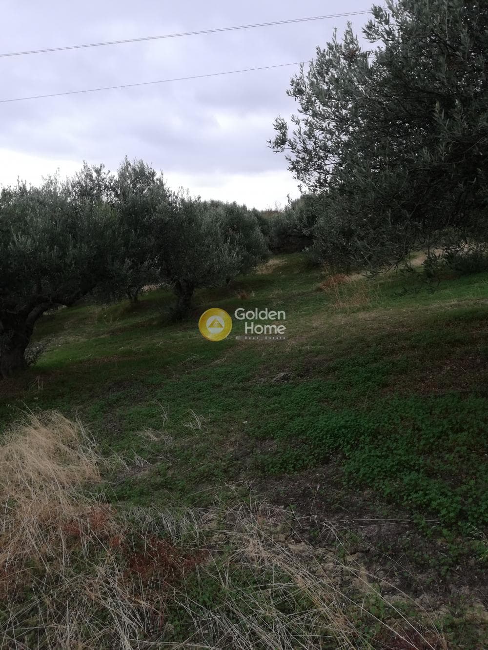 Parcel in Skalani, Episkopi — Photo 16 of 19