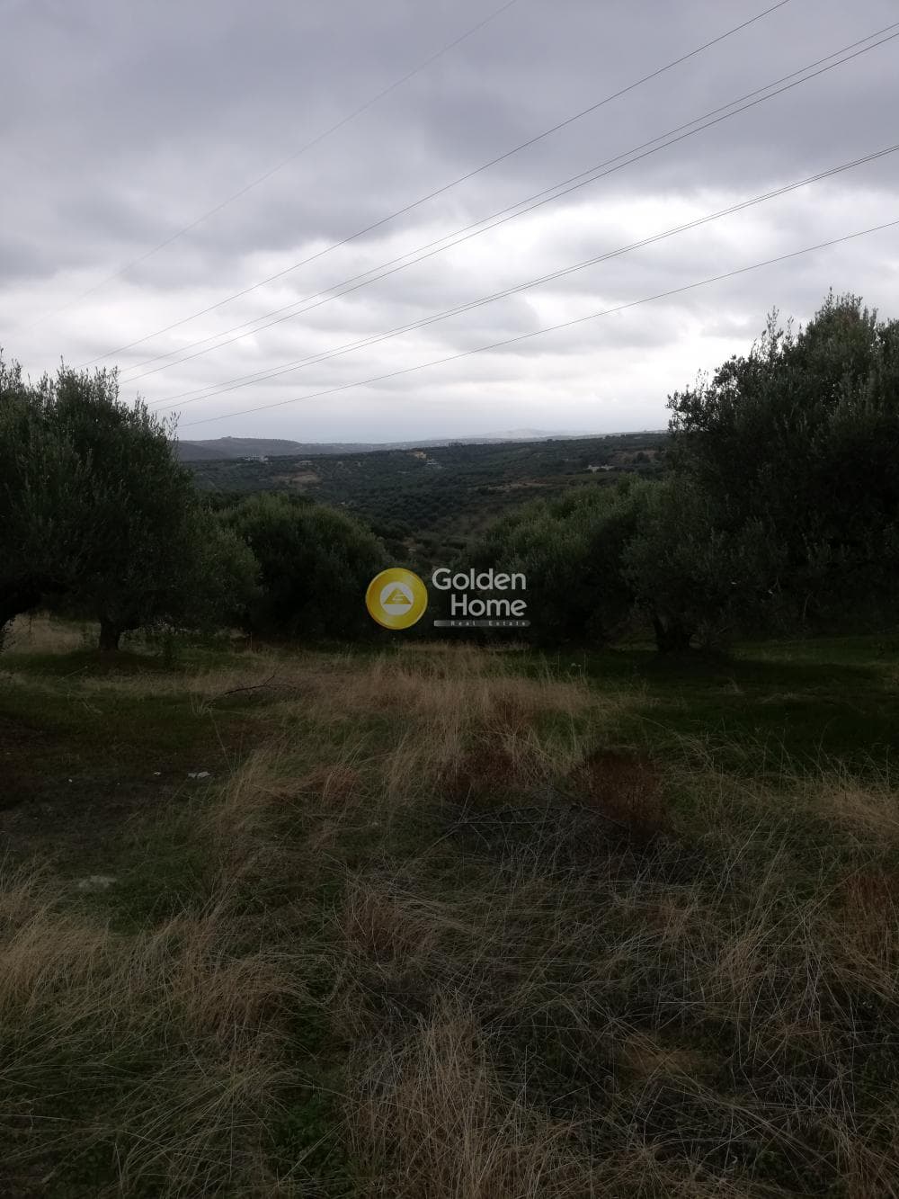 Parcel in Skalani, Episkopi — Photo 17 of 19