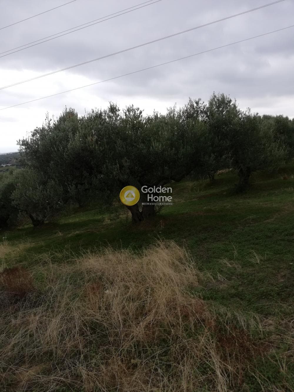Parcel in Skalani, Episkopi — Photo 18 of 19