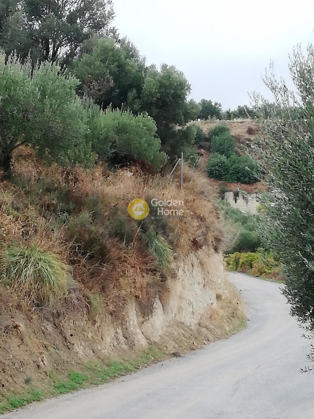 Οικόπεδο στην Φοινικιά, Τέμενος — Φωτογραφία 7 από 9