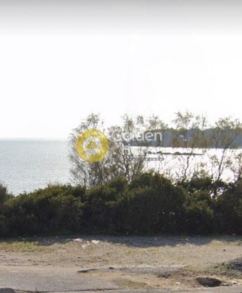 Parcel in Kalivia, Kalivia Thorikou — Photo 5 of 9