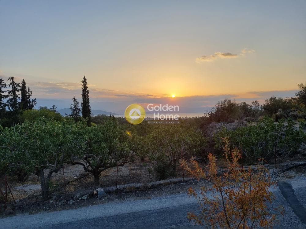 Parcel in Pagoni, Aegina — Photo 1 of 3