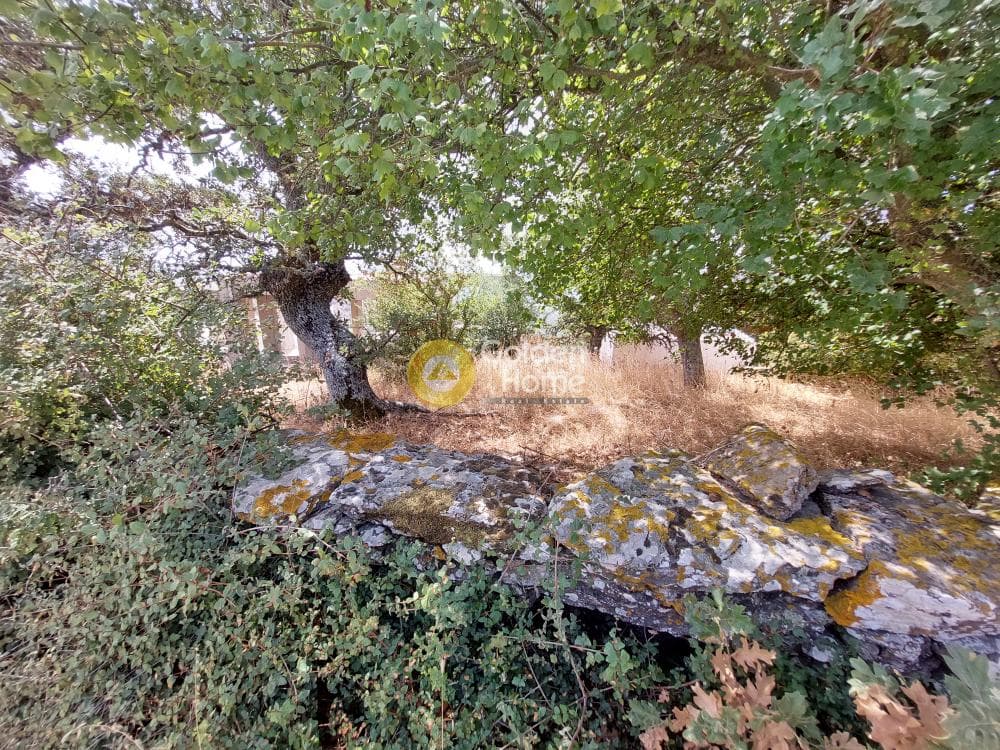 House in Agia Mavra, Kea — Photo 5 of 43