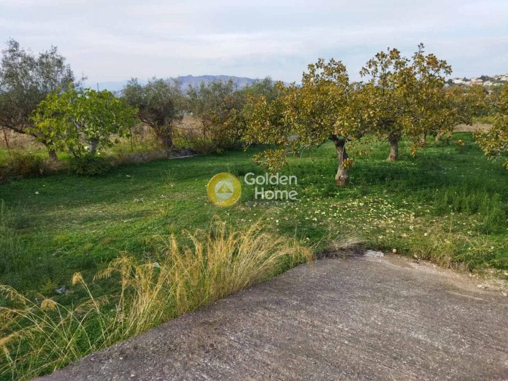Building Plot in Agia Paraskevi, Salamina — Photo 7 of 10
