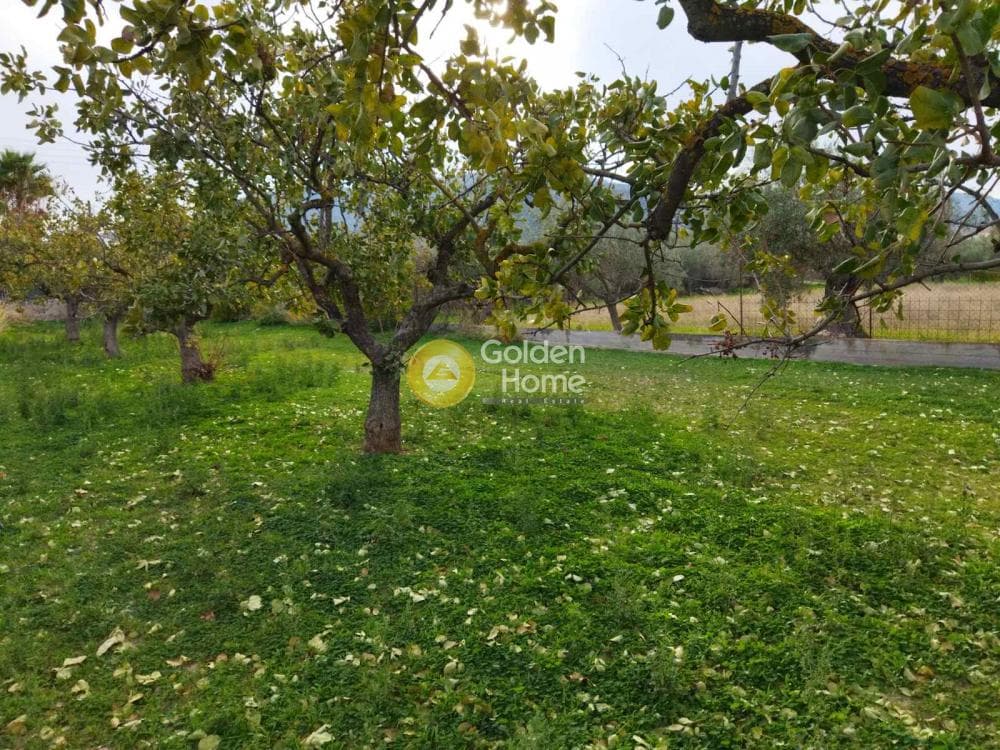 Building Plot in Agia Paraskevi, Salamina — Photo 8 of 10