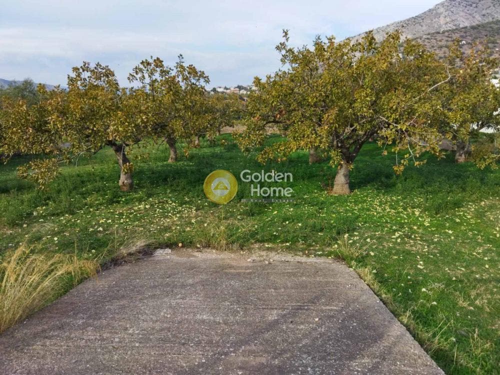 Building Plot in Agia Paraskevi, Salamina — Photo 9 of 10