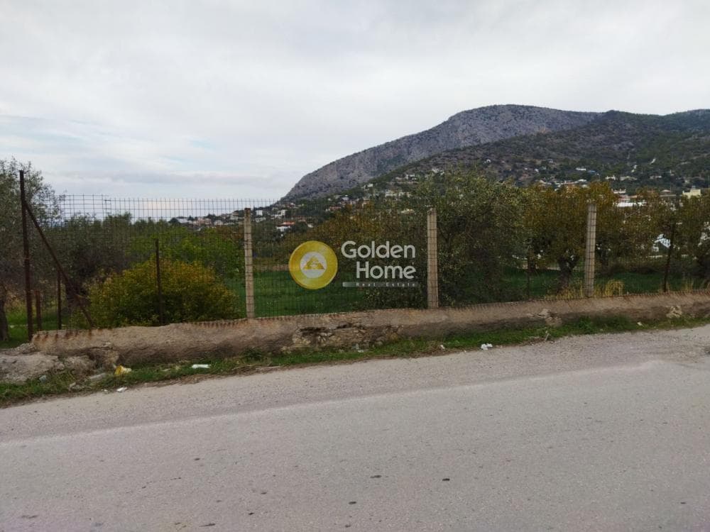 Building Plot in Agia Paraskevi, Salamina — Photo 10 of 10