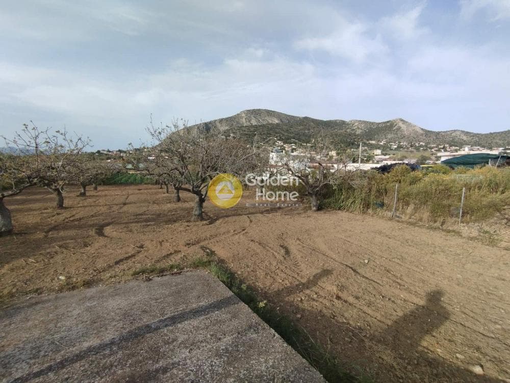 Building Plot in Agia Paraskevi, Salamina — Photo 1 of 10