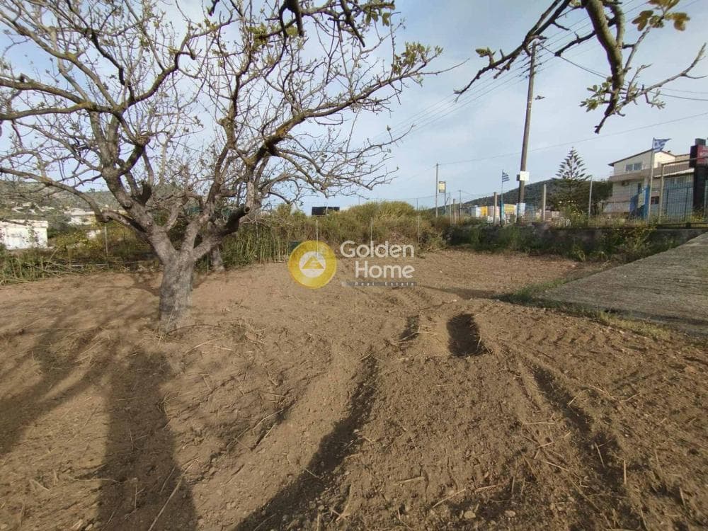 Building Plot in Agia Paraskevi, Salamina — Photo 5 of 10