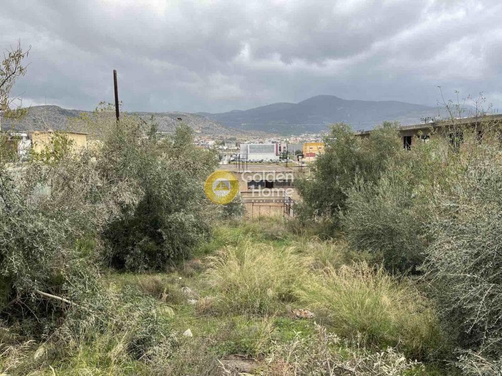 Οικόπεδο στην Ζοφριά, Άνω Λιόσια — Φωτογραφία 2 από 4