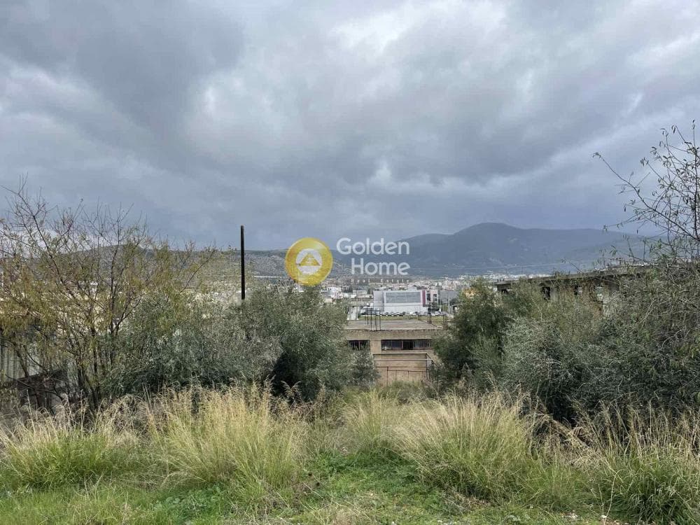 Οικόπεδο στην Ζοφριά, Άνω Λιόσια — Φωτογραφία 3 από 4